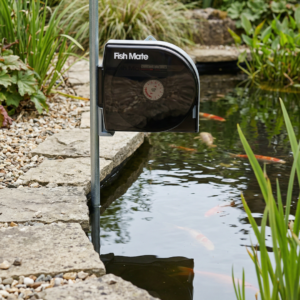 21-day Automatic Pond Fish Feeder P21